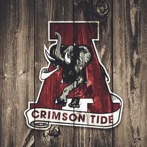 Meet your Posher, Bo